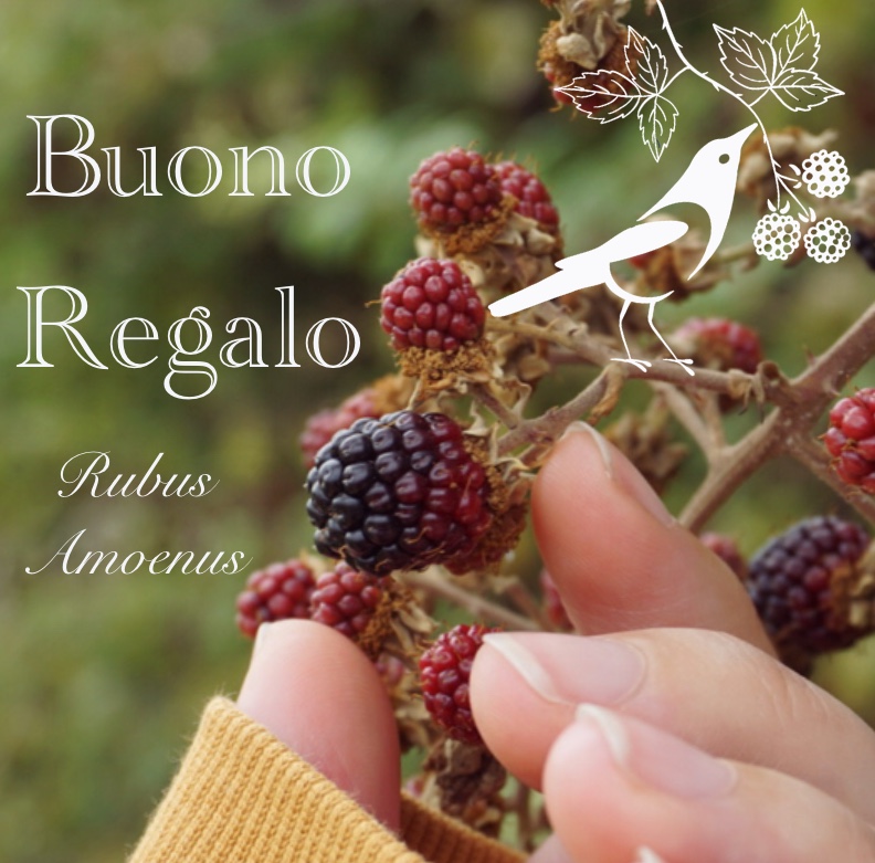 Buono Regalo - Gift Card