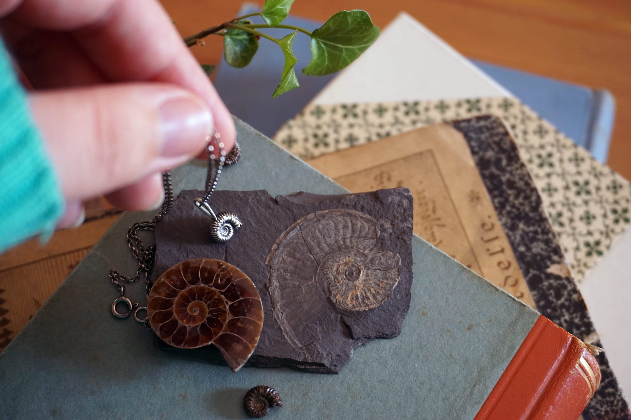 "Naturalia": ammonite - ciondolo (su ordinazione) - immagine 5