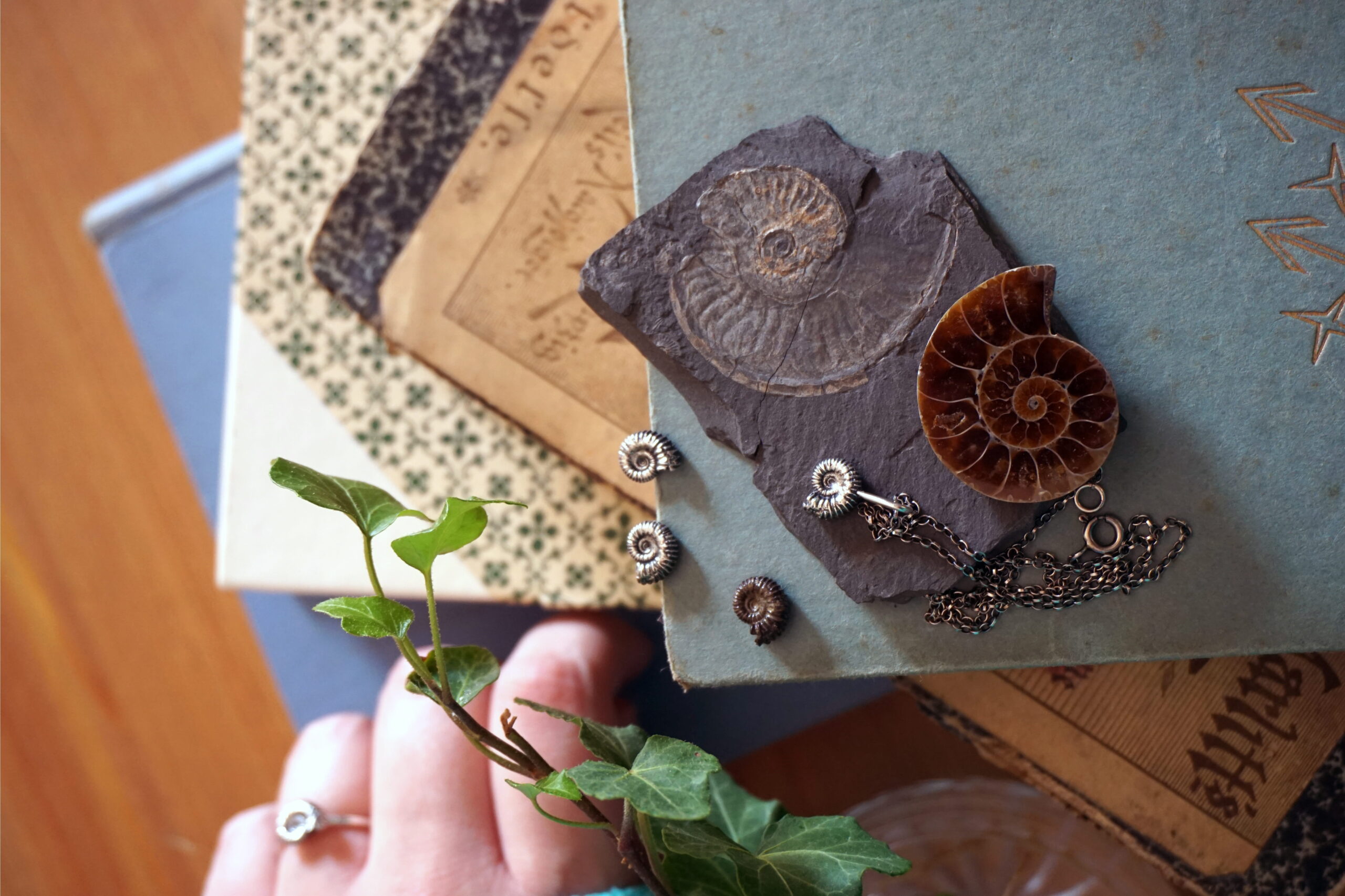 "Naturalia": ammonite - ciondolo (su ordinazione) - immagine 9