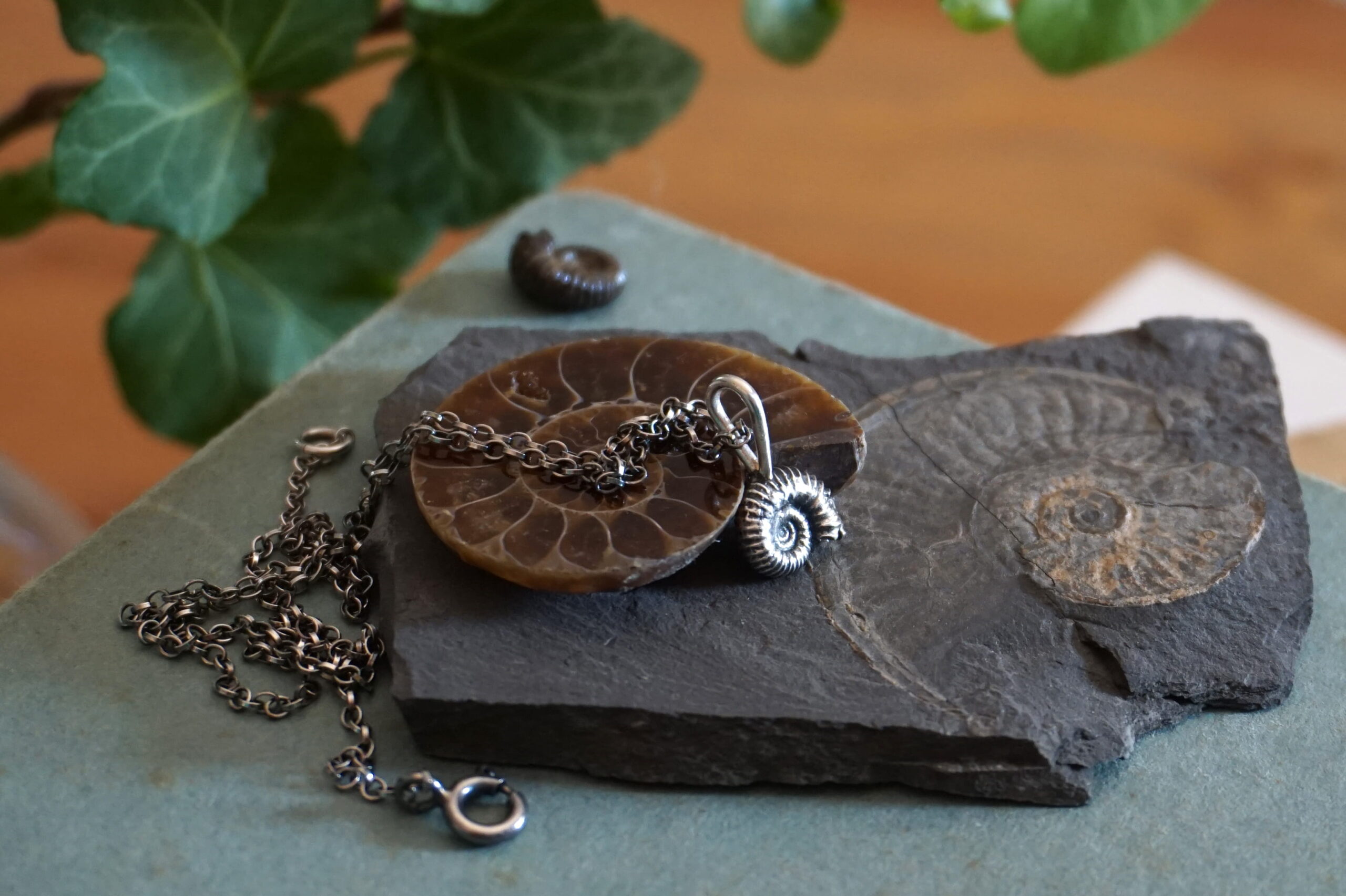 "Naturalia": ammonite - ciondolo (su ordinazione) - immagine 8