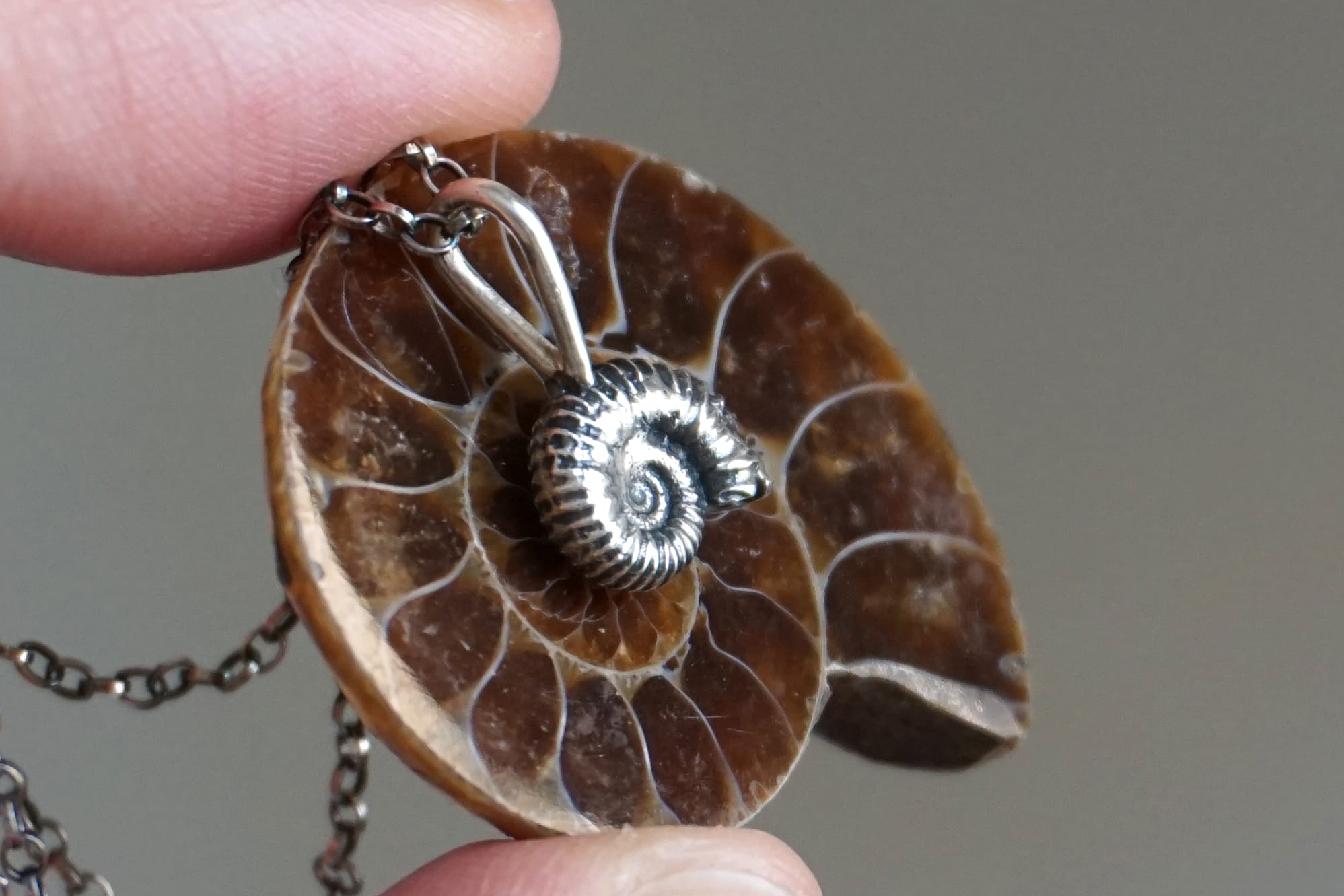 "Naturalia": ammonite - ciondolo (su ordinazione) - immagine 2