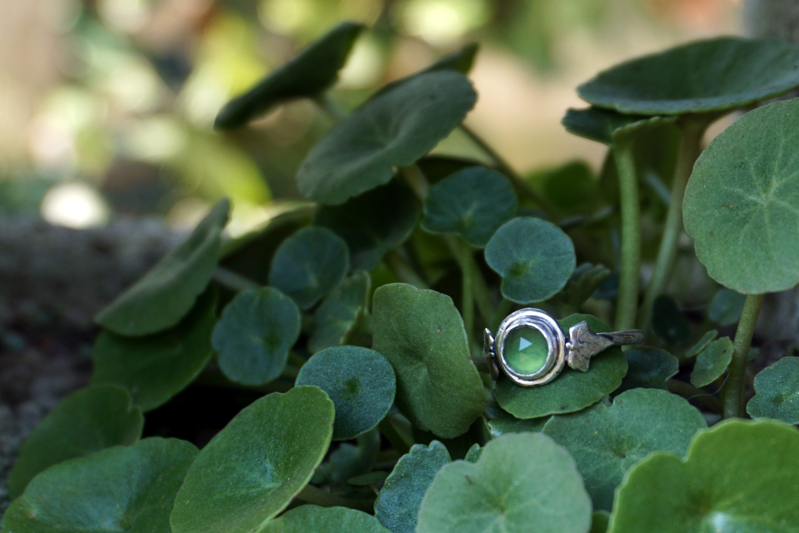 Anello "Semper Viridis" con serpentino e impressione d'edera - (su ordinazione) - immagine 8