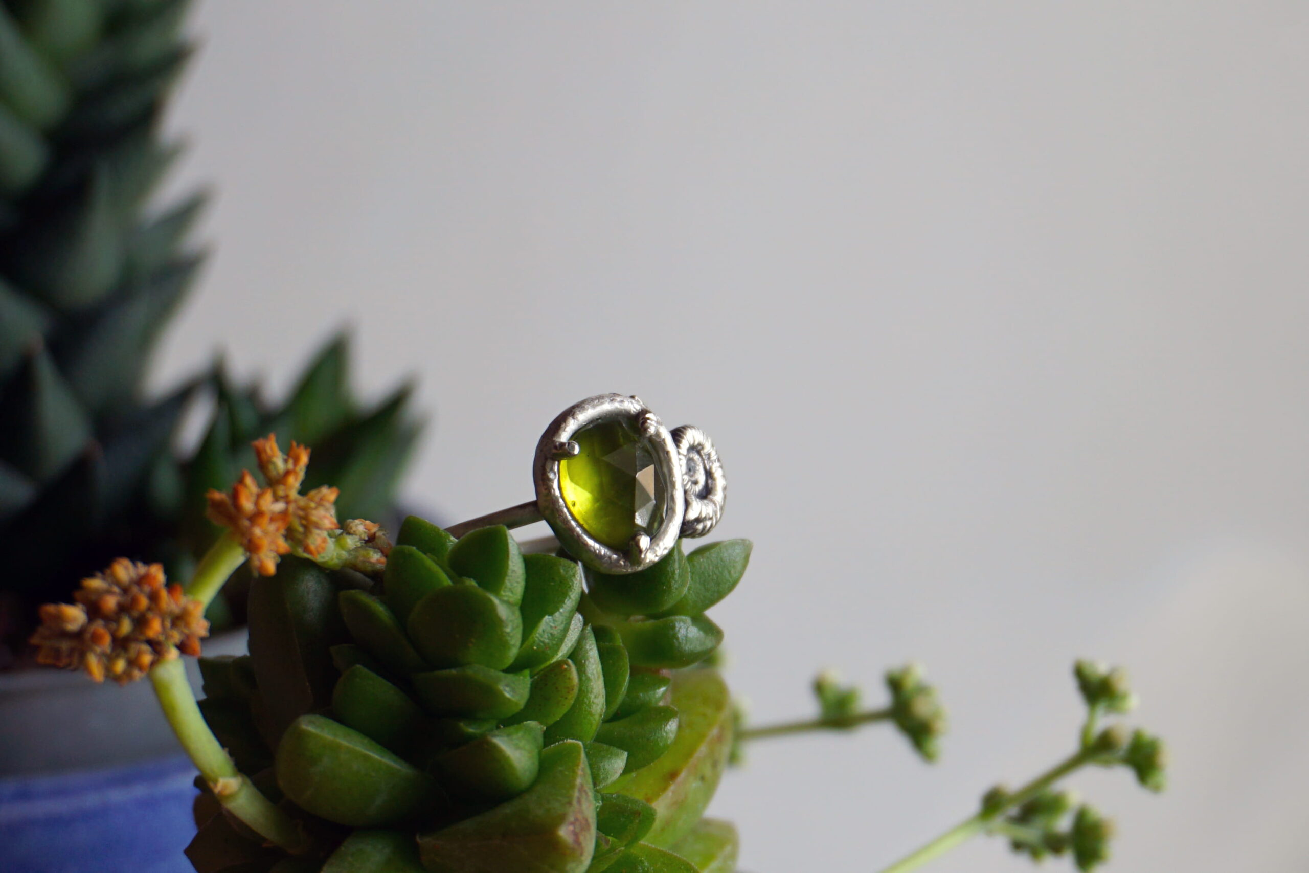 (Taglia 18.5) Linea "Naturalia", ammonite e vesuvianite - (pezzo unico) - immagine 5
