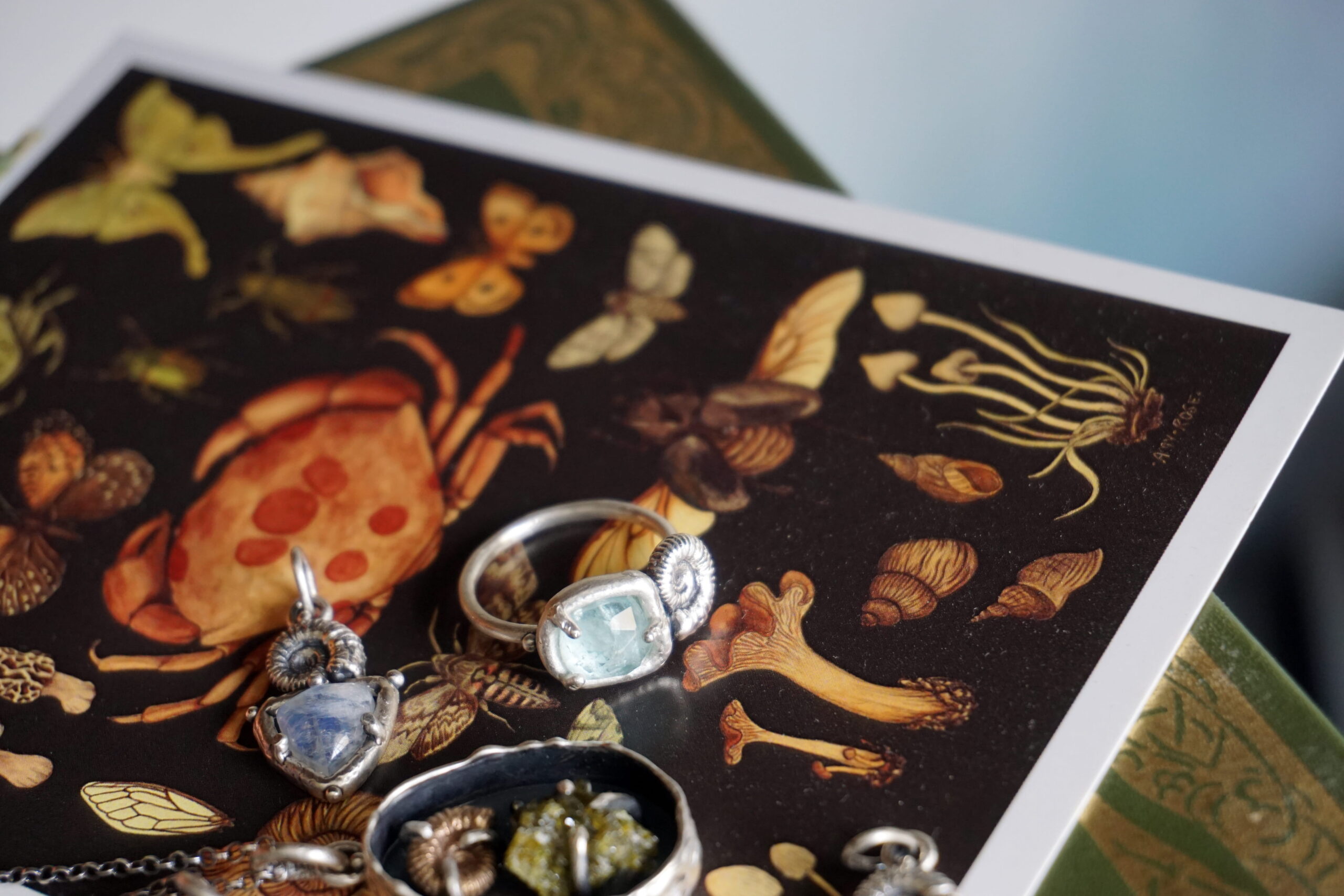 Linea "Naturalia" shadowbox con ammonite in bronzo e epidoto - ciondolo (pezzo unico) - immagine 8